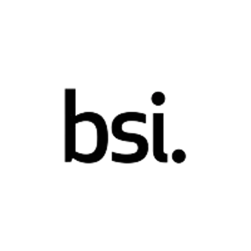 BSI Group Singapore Pte Ltd. logo